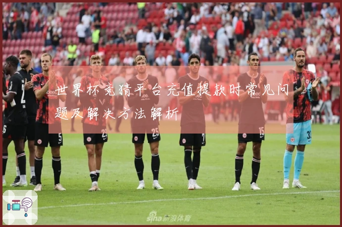 世界杯竞猜平台充值提款时常见问题及解决方法解析