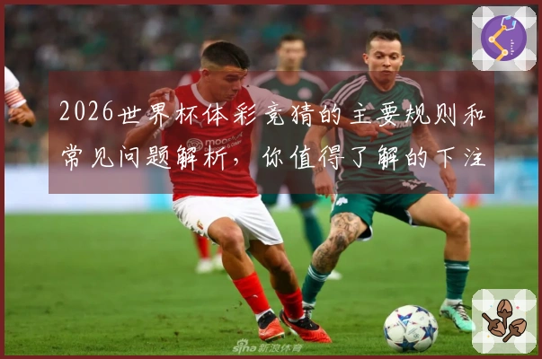 2026世界杯体彩竞猜的主要规则和常见问题解析，你值得了解的下注要点