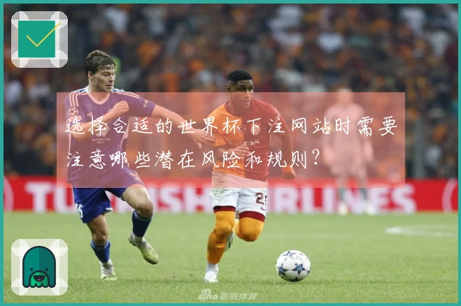 选择合适的世界杯下注网站时需要注意哪些潜在风险和规则？