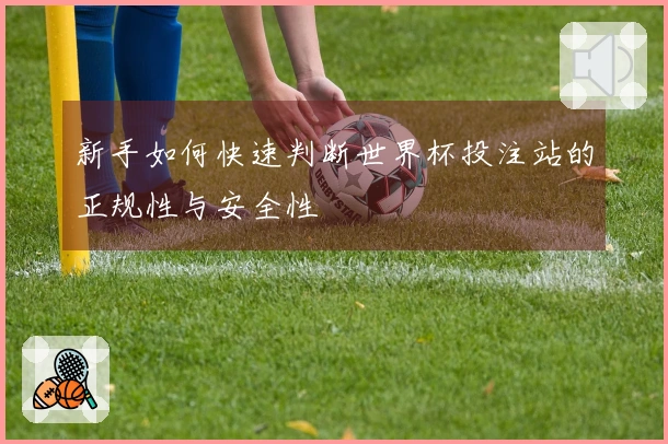 新手如何快速判断世界杯投注站的正规性与安全性