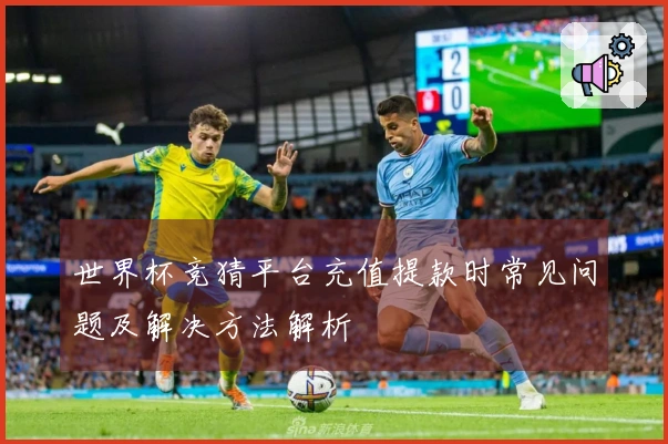 世界杯竞猜平台充值提款时常见问题及解决方法解析